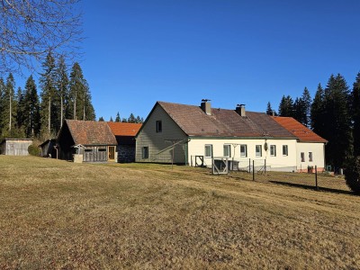 Wohnhaus mit landwirtschaftl. Nutzgrund