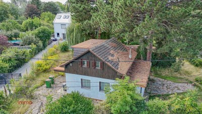Alte Donau: Idyllische Lage an der alten Donau