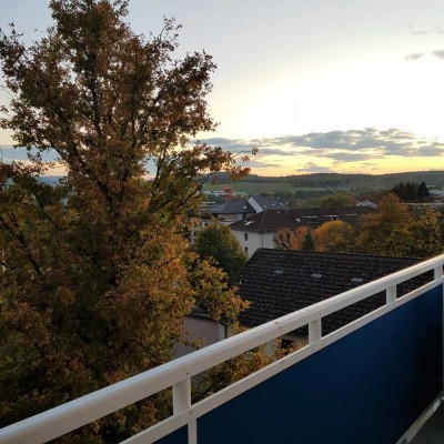 Großer Balkon mit Blick 14qm, vollsanierte 3-Zimmer-Wohnung, EBK, Parkett, Einzug 15.7-1.9 möglich