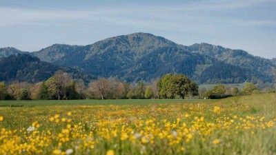 Wohnen im Grünen mit eigenem Garten