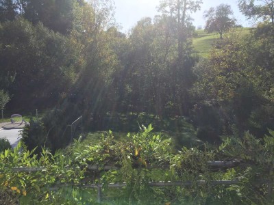Großes, helles Einfamilienhaus mit Garten in der Nähe der Natur.