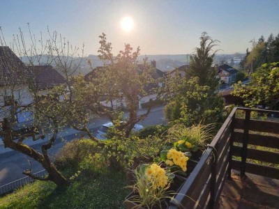 Freistehendes Einfamilienhaus mit tollem Garten in Neckarbischofsheim