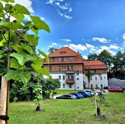 Imposante Wohnung in Altstadtnähe
