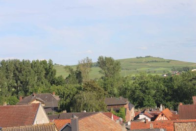1-Raum-Wohnung mit Balkon und Einbauküche im Hotel in Bretzenheim