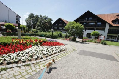 Sonniges, lichtdurchflutetes Appartement im beliebten Griesbacher Hof