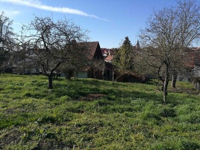 Das Einfamilienhaus mit dem schönen Satteldach in Bad Langensalza OT Zimmern - Freundlich und gem...