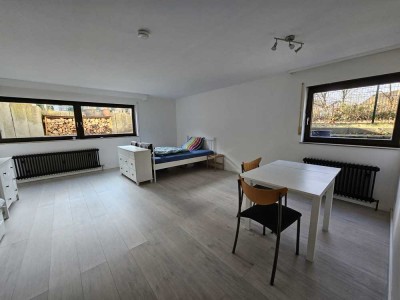 Einliegerwohnung an Pendler oder Student zu vermieten
