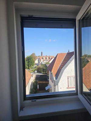 Paradies für Studierende, Pärchen oder Single - Tolles Appartement über den Dächern von Pfiffligheim