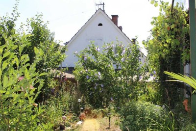 Hier lässt sich viel draus machen - 
EFH mit schön eingewachsenem Garten!