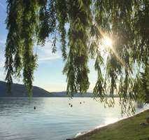 Gepflegte 2,5-Zimmer Wohnung mit Terrasse in Sipplingen