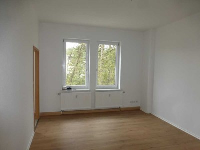 sanierte 2-Raumwohnung in Hoh.-Ernstthal (Conrad-Clauß-Strasse)