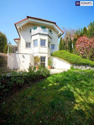 Frisch renoviert! Make your dreams come true! Traumlage + Traumhaus + Indoor Pool + Sauna + Toller Wienblick + Grün wohin das Auge reicht! Enjoy life!