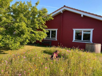 Großes Holzhaus mit Wintergarten, PV & großem Garten – 36 Min. Hamburg