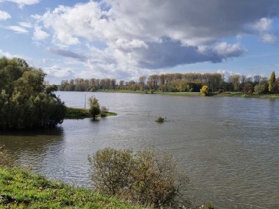 Stilvolle 3-Zimmer-Wohnung, unverbaubarer Blick direkt am Rhein