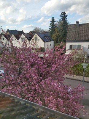 Stilvolle 3-Zimmer-Wohnung in Münster