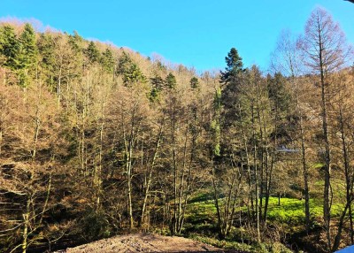 solide Kapitalanlage in Bad Herrenalb