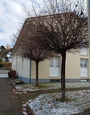 Lichtdurchflutete, frisch renovierte, natur- und grenznahe Wohnung in Tisis