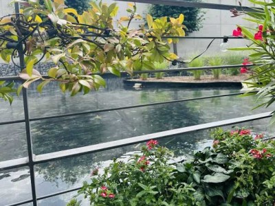 Traumhaftes Wohnen am Wasser: Modernes Townhouse mit Tiefgaragenplatz und vielen Extras
