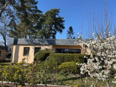 5-Zimmer Wohnung mit eigenem Garten