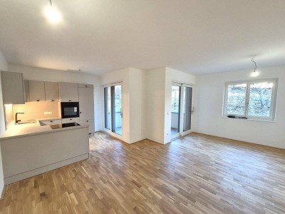 Stadtwohnung in Kremser Top-Lage! Neubau / Erstbezug, 3 Zimmer, Loggia