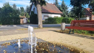 Einfamilienhaus auf großem Grundstück – hell, gepflegt Einziehen & wohlfühlen