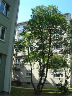 Mieter sucht Nachmieter für 2 Zimmerwohnung am Nordostbahnhof