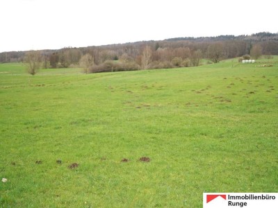 15.275m² großer Resthof mit Weide, Stallungen & Scheune vor den Toren der Landeshauptstadt Hannover