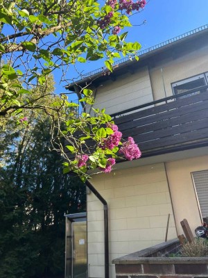 Zweifamilienhaus großer Garten Hobbykeller