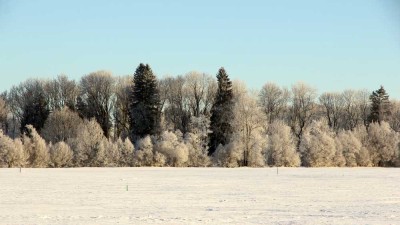 Weihnachten in Ihrer neuen attraktiven Wohnung:  TOP-Grundriss, gehobene Austattung, Seenähe, Höri !