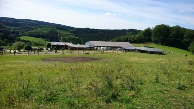 Bauernhof in Traumhafter Lage auf 23 ha zu verkaufen