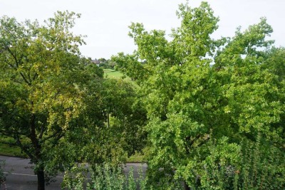 Sonnenbalkon mit Blick ins Grüne lädt ein