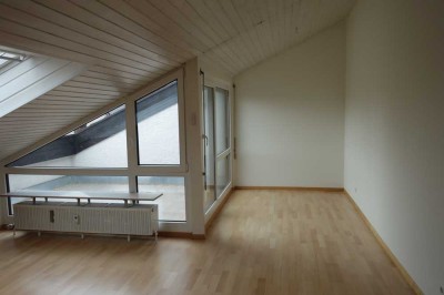 Gehobene vollständig renovierte 2-Zimmer-DG-Wohnung mit Loggia und EBK in S-Vaihingen