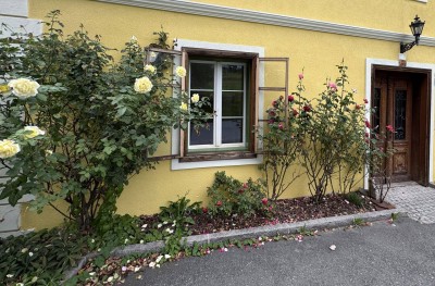 Neu sanierte Altbauwohnung in Kirchbichl