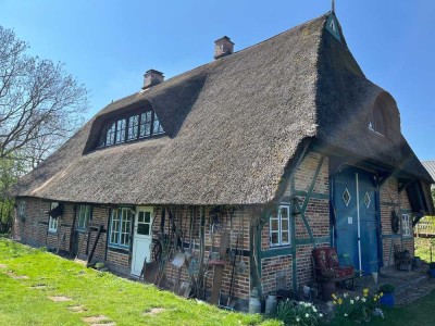 Saniertes Reetdachbauernhaus mit Stall und Pferdekoppel,Photovoltaik