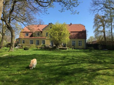 Wohnung im Gutshaus