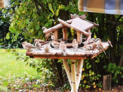 Ihr individuelles Traumhaus