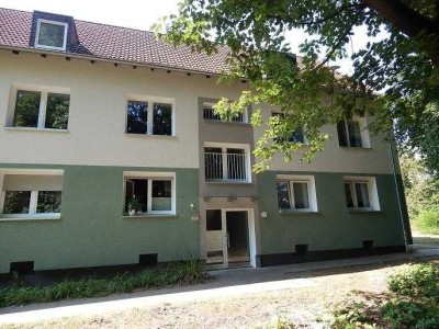 tolle, frisch sanierte 3-Zimmer-Wohnung im EG mit großem Balkon