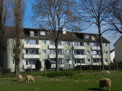 3 Zimmer in Werl