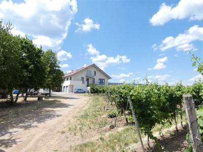 VERKAUFT-Traum-Weinbergsblick - Maisonette