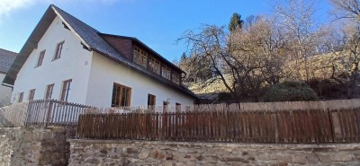 WOHNHAUS MIT GROSSEM GARTEN IN ZENTRALER STADTLAGE - AUSBLICK AUF DIE STADT