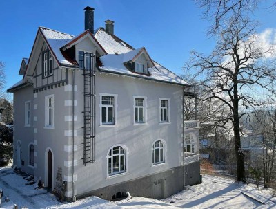 LOFTARTIGE ALTBAUWOHNUNG mit kaminofen und großer terrasse