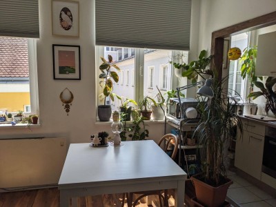 Studentenfreundliche 1,5 Zimmer-Wohnung im Herzen St. Pöltens