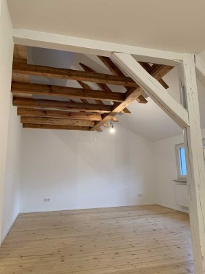Saniert 2020: charmante 1,5-Zimmer-DG-Wohnung mit Spitzboden