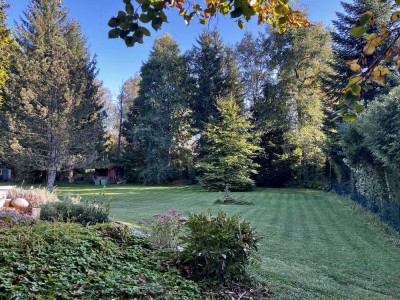 Grüne Oase - Freiheit - Bergblick in Penzberg Steigenberg