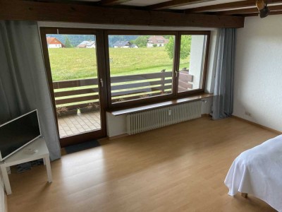 Möblierte, gepflegte 1-Zimmer-Wohnung mit Balkon Ühlingen-Birkendorf/ Brenden