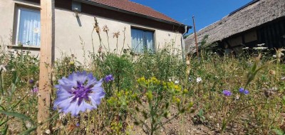 Wohnhaus mit Garten, Insel Usedom