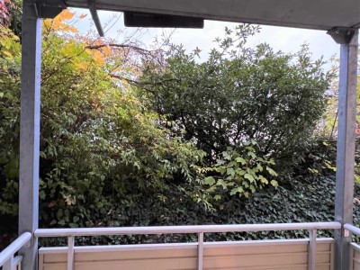 INFRAROT/Elektro Heizung * schöne EG Wohnung * Balkon * älteres Stadthaus * nähe Bahnhof + City