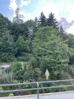 Erstbezug nach Sanierung, direkte Waldrandlage