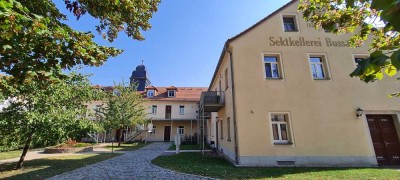 Schöne 3-Zi-Maisonette-Whg, Balkon, Stellplatz in Radebeul OT Niederlößnitz