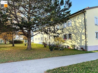 ++ Wohlfühlwohnung in Ruhelage I MB IMMOBILIEN ++